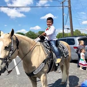 Meet your Posher, Pepe